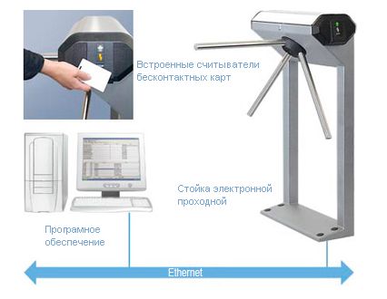 Проходная карта в школу